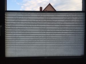 IMG_1085