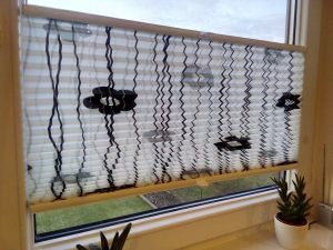 IMG_20170316_180132