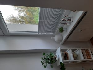 20191022_110058