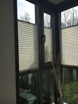 IMG-20180328-WA0001